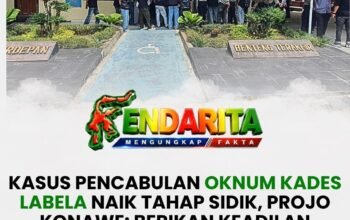 Kasus Pencabulan Oknum Kades Labela Naik Tahap Sidik, Projo Konawe: Berikan Keadilan untuk Pihak Korban