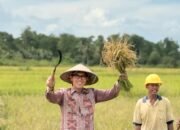 Cetak Sejarah Baru, BULOG: Pengadaan Beras Melampaui 4 Juta Ton